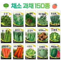 쌈 채소 씨앗 모음 고수 공심채 루꼴라 궁채나물 상추씨 동남아 종자, 87. 골든스위트수박 5립