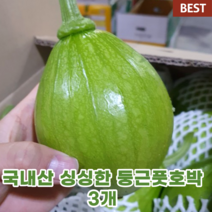 국내산 국산 둥근 풋 호박 3개 조선 미니 텃밭 호박 제철 음식 신선한 싱싱한 맛있는 펌킨 애기 호박 애호박, 1kg