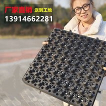 드레인보드 벽체배수판 벽배수판 지하배수판 지하 차고 지붕 옥상 정원 소수성 플레이트 저장 및 배수 두꺼운 P, 01/PE 배수판 PVC 배수판 고객 서비스에 문의