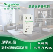 전기장비부품 A9L916612 iST 40kA 2P 슈나이더 100% 및 원본, 한개옵션0