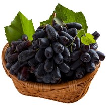 가지포도, 1개, 5kg