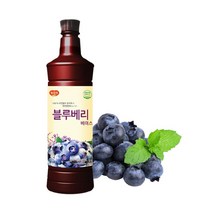 광야 블루베리베이스 970ml 23년 9월26일까지