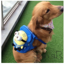 대형견 강아지 가방 미니언즈 설리 배낭, L (10kg~48kg)개, 리모델링 블루 스마일