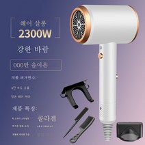 DFMEI 헤어 드라이어 가정용 헤어 드라이어 고출력 음소거 강풍 음이온 헤어 드라이어, 우아한 흰색, 2300w 콜라겐 + 음이온
