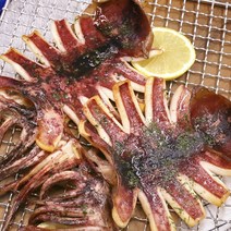 신통씨푸드 속초에서 말린 원양산 반건조오징어 1kg+와사마요소스