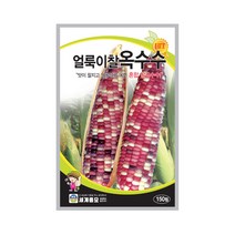 얼룩이찰옥수수 150립 옥수수씨앗 혼합 품종, 1개