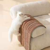 소파 보호를 위한 매트 채색 고양이 사이잘 스크래처, 30*40cm