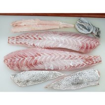 [목포/신안 특산]제철 보양생선 귀족 민어 1kg(회+부레+껍질+초장) 손질 신선배송, 500g