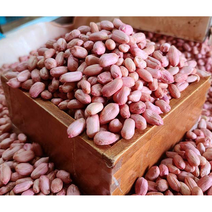 가성비 좋은 땅콩조림대용량 중 알뜰하게 구매할 수 있는 판매량 1위
