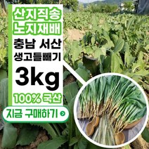 [2023년] 국산 국내산 노지 재배 황토 생고들빼기 1kg 2kg 3kg 4kg 꼬들빼기 꼬들배기 생꼬들베기 생꼬들배기 고들배기 고들빼기 산지직송, 1개