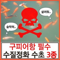 수초하우스)구피어항 필수 수질정화 수초 3종 세트(고정구피 막구피 치어 알풀 알비노풀레드 애완 물고기 백탁 환수 물잡이 물갈이 수질개선), 1세트(총14줄기)