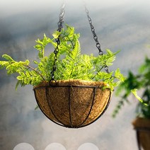 GARDEN 인테리어 철제 코코넛 행잉 바구니 화분걸이, 1-코코넛행잉화분20CM