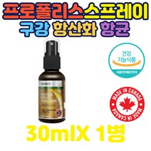 캐나다산 프로폴리스 스프레이 항산화 구강항균작용 프로폴리스 스프레이 식약처 인정 기능식품 항균작용