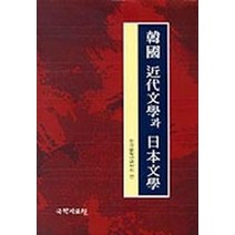 한국 근대문학과 일본문학, 국학자료원