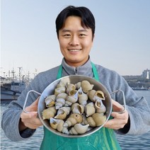 [선주직송]활 백 골뱅이 백고동 자연산 구룡포 동해 백고동 포항 소 중 대 특대 1kg, 백고동 중 1kg 20-30미내외
