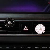 차안의정원 꽃 차량용 방향제 차 방향제 자동차 디퓨져 새차선물 소비르, C No5, (정원)코스모스세트