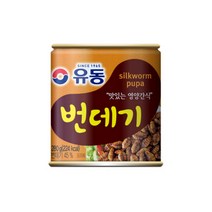 유동 유동 번데기 280g x 24캔