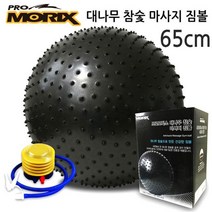[좋은하루] 짐볼 참숯 65cm 대나무 프로모릭스 S/N 2020 NO:8995 _ SG/1215 WS36B608
