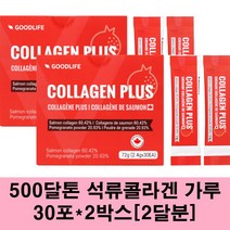 저분자콜라겐 어류 피쉬 콜라겐 분말 가루 엘라스틴 히알루론산 펩타이드 500달톤 어린 초저분자 연어콜라겐 석류 생선비늘 이너뷰티, 2박스