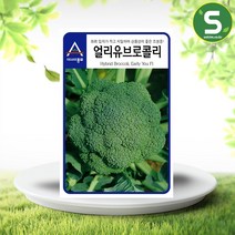 솔림텃밭몰 아시아종묘 브로콜리씨앗 100립 얼리유 서양채소 브로콜리종자