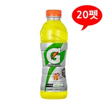 게토레이 레몬 스포츠 드링크 600mLx20펫