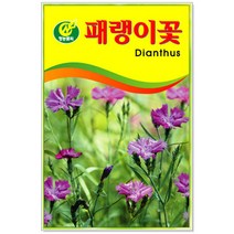 패랭이꽃 150립 꽃씨