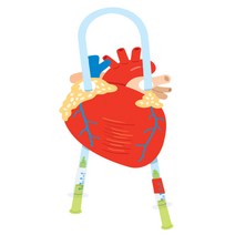 심장모형 허파모형 과학교구 (10인용)