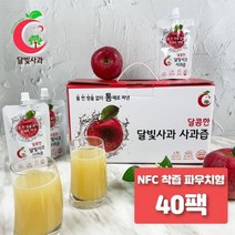 [쇼핑엔티] 달빛사과즙 사과원액주스 캡파우치형 40팩 (NFC착즙), 없음