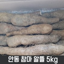 23년 햇안동참마 알뜰 5kg (햇마 반반 섞어드림)