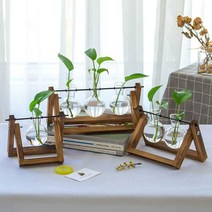 수경재배 화분 플랜테리어 원목 유리병 실내 장식품, 그네 프레임 대형 통나무(식물 포함)