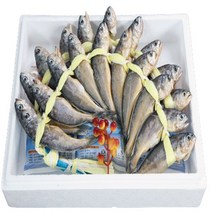 영광 법성포굴비 장대1호 40미 2.9 Kg내외 선물세트 굴비, 1박스, 2.9Kg내외40마리(한마리당70g)