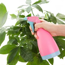 미니 식물 안개 분사 스프레이 분무기, 2쁘띠분무기-핑크