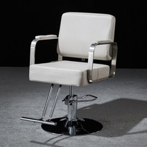 고급 헤어샵 미용실 의자 등받이 조절 샴푸 겸용 체어, 스테인레스 스틸 난간 베이지 실버 디스크