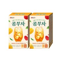 담터 콤부차 망고리치 5g 10개입 2개세트, 옵션선택:본품