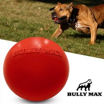 반쪽이 애견장난감 Bully Max 튼튼한 강력한 씹는 장난감 대형견 핏불 독일 셰퍼드 내구성 깨끗한 치, 한개옵션0