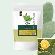 국산 토종 천년초 줄기 분말 가루 500G 천년초추천 천년초열매, 천년초줄기분말500g