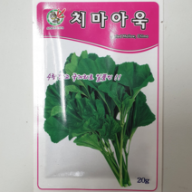 안산 플라워마트 상추 씨앗, 1개, 치마아욱