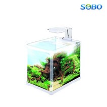 SoBo 소보 CR-300F 배면섬프일체어항