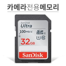 샌디스크 니콘 쿨픽스 L120 카메라 메모리 32기가 SD카드, 32GB