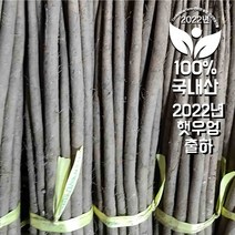 <컴팜> 2021년 첫 햇우엉, 1kg, 대상(차용)