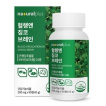 내츄럴플러스 혈행앤 징코 브레인 90정 / 기억력 혈행개선 은행잎추출물, 1개