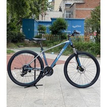 XDS 500 오프로드 산악 자전거 알루미늄 합금 가변 속도 sava 트위터 사바 java 자바, 카멜레온15.5인치, E
