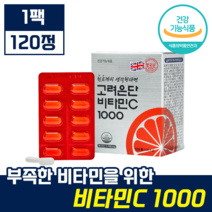 대한민국 1등 비타민 [ 고려은단 비타민C 1000 ] 유재석 광고 모델 영국산 식물성 옥수수 추출 원료 지친 일상 피로 회복 비타민씨 영양제 항산화 수험생 직장인 부모님 선물, 1개, 120정