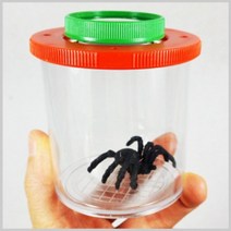 하bskyy_확대경 곤충학습 관찰경 용경 완구 관찰실♥day, ♥dayday