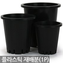 플라스틱 재배분(1P) - 화분 플분 양란 녹차 난화분 란화분 난재배분 양란화분 난재배 녹차재배분 긴화분, 03_청운_재배분(6호)