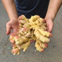 최상급 에어세척생강 봉화생강, 3kg, 1개