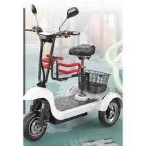 어르신전동차 스쿠터 노인전동차 전동차 어르신, 48V 배터리 3인용 도난 방지