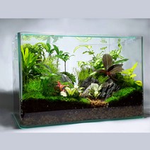 공기정화식물 이끼 테라리움 맞춤 주문제작 M 사이즈 (식물등 포함), 1개