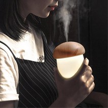 직장인 사무실책상위 USB 무드등가습기 화물차 가을 집들이 캠핑장 스터디카페 테이블, 버섯가습기 연비치브라운