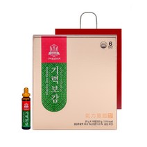 기력보감 고려홍삼중앙회 20g 16병 쇼핑백 포함, 2박스